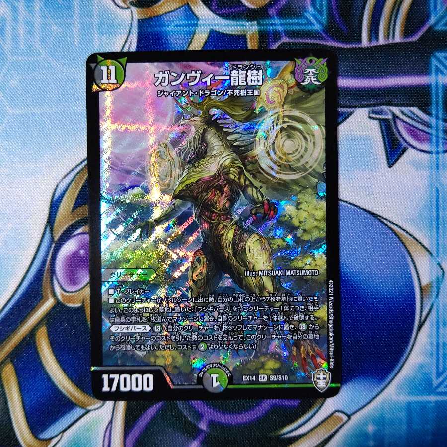 ガンヴィー龍樹