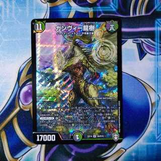 ガンヴィー龍樹