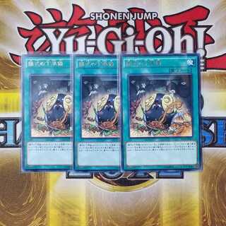 儀式の下準備 レア