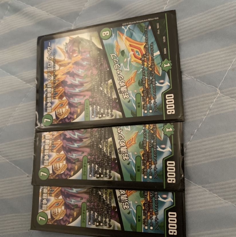 ステゴロカイザー3枚