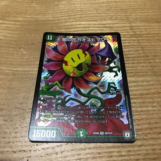 カオスヒマワリ