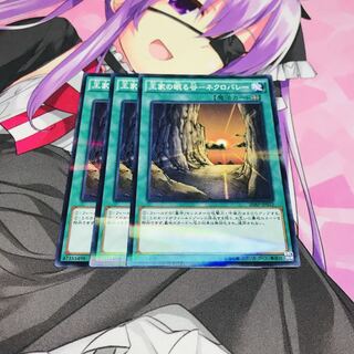 王家の眠る谷-ネクロバレー【NP】