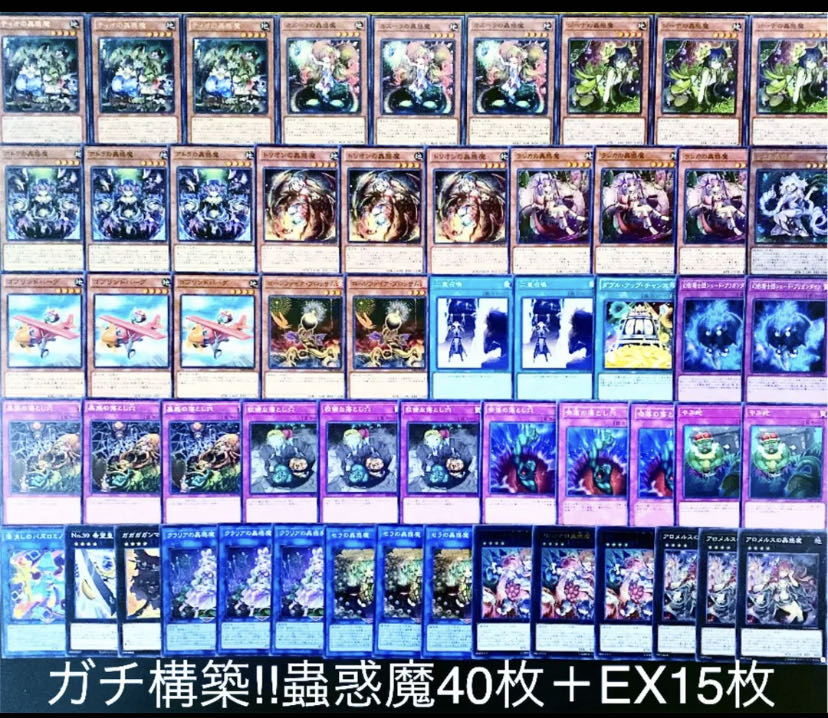 遊戯王 ガチ構築！！蟲惑魔デッキ40枚＋EX15枚