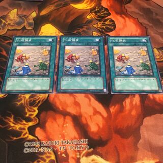 化石調査 ノーマル　3枚