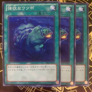 強欲なウツボ ノーマル　【きょうこ】