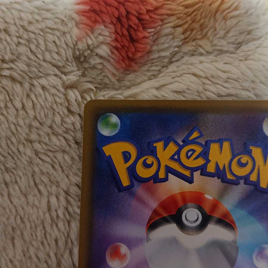 エンペルトVSA②