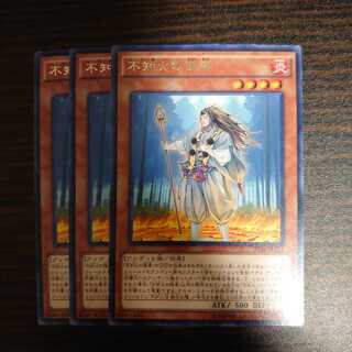 不知火の隠者 レア　3枚セット