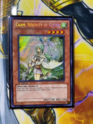 遊戯王 ガスタの静寂 カーム　英語　シク　シークレット