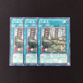 h100 大樹海 3枚セット 遊戯王 トレトレ