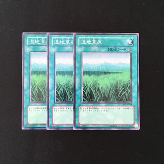 h110 湿地草原 3枚セット 遊戯王 トレトレ