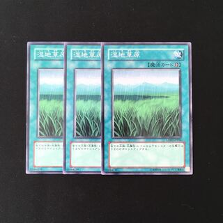 h111 湿地草原 3枚セット 遊戯王 トレトレ