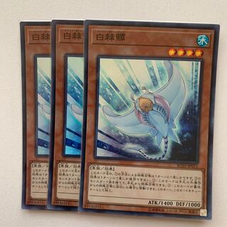 ホワイト・スティングレイ スーパーレア