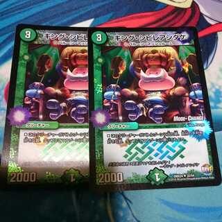 キングシビレアシダケ 2枚