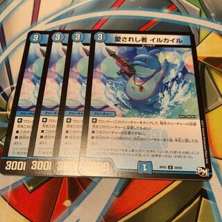 愛されし者 イルカイル　4枚