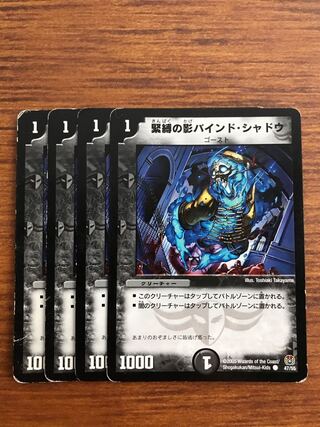 緊縛の影バインド・シャドウ