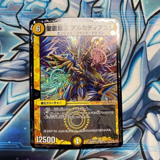 聖霊龍王 アルカディアスD