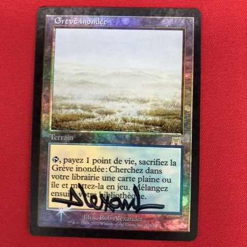 溢れかえる岸辺/Flooded Strand　ONSフランス語　Foil