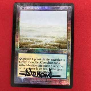 溢れかえる岸辺/Flooded Strand　ONSフランス語　Foil