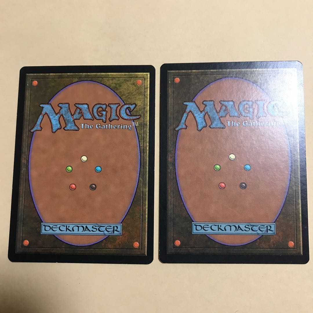 シヴ山のドラゴン×2