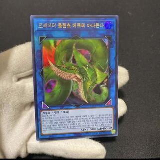 捕食植物ヴェルテ・アナコンダ ウルトラレア