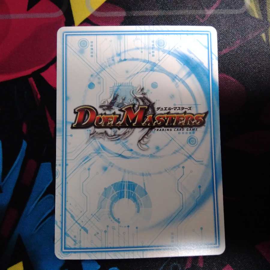 サヴァクティス　シク　一枚