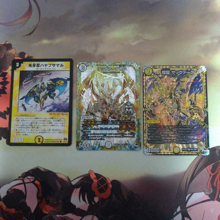 煌龍 サッヴァーク セット