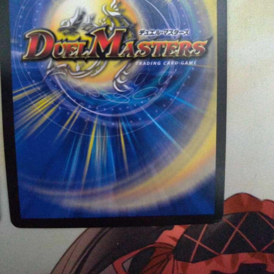 煌龍 サッヴァーク セット