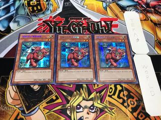 Korean version Madokoro Shinju Kerberal Secret 3-card set Tera