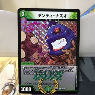 ダンディ・ナスオ C-foil