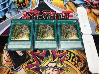 English Over Destiny Rare 3-card set Tera