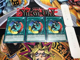 英語版 強制転移 黒レア 3枚セット てら