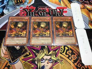 English Version Lonefire Blossom Rare 3-Piece Set Terra