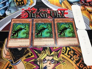 英語版 カゲトカゲ レア 3枚セット てら