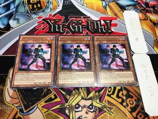 English Doppelwarrior, rare, set of 3, Tera.