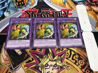 英語版 E・HERO フレイム・ウィングマン レア 3枚セット てら