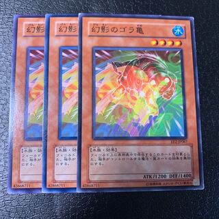 Gora Turtle of Illusion Normal