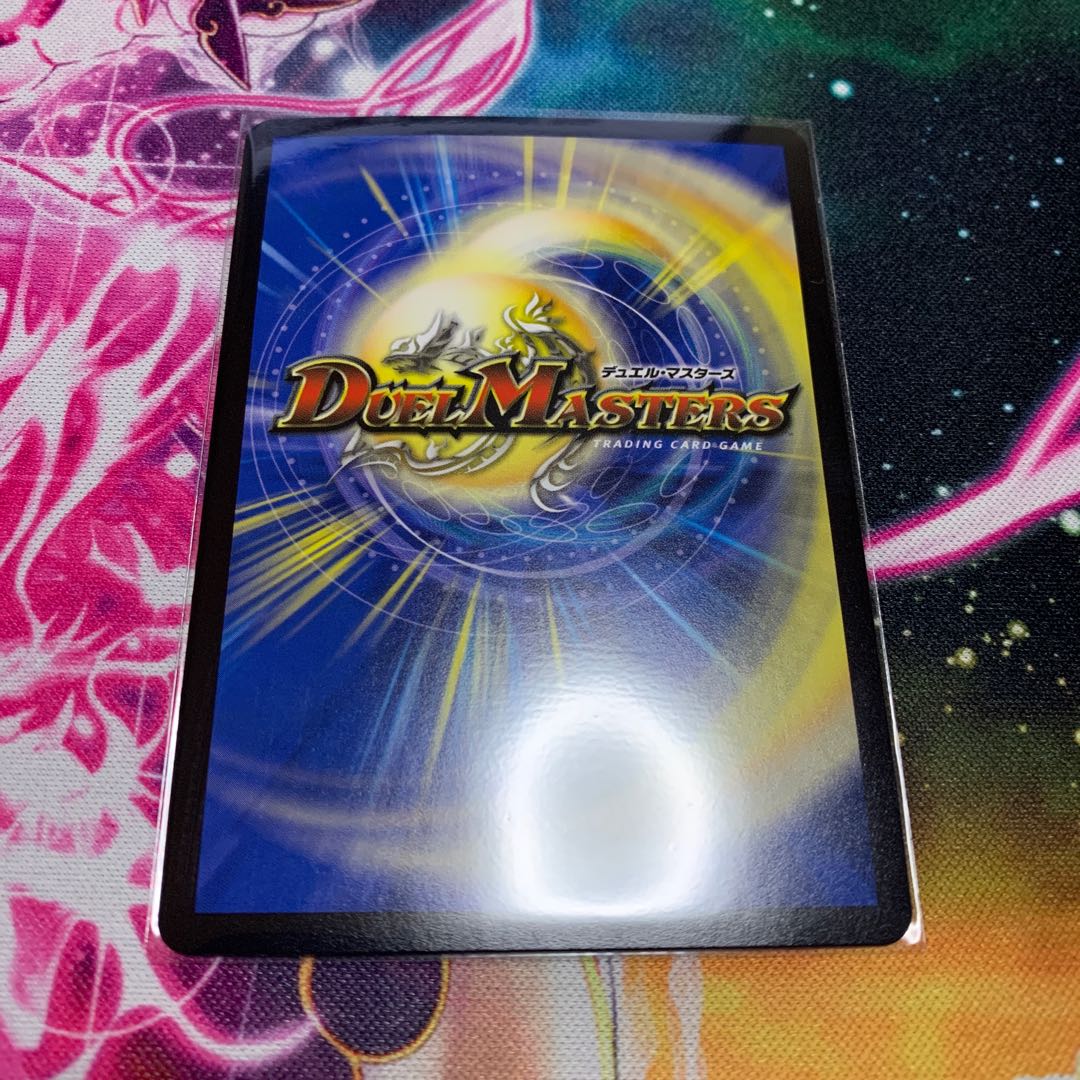 「絶対の楯騎士」