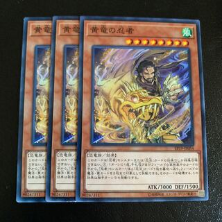 黄竜の忍者 ノーマル