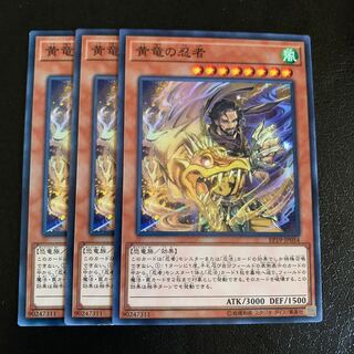 黄竜の忍者 ノーマル