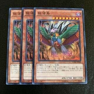 Bird of Paradise Lost Normal