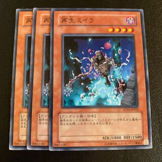 再生ミイラ ノーマル