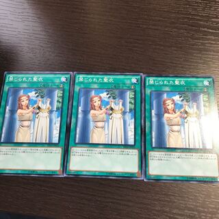 禁じられた聖衣