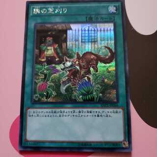 隣の芝刈り シークレットレアRATE