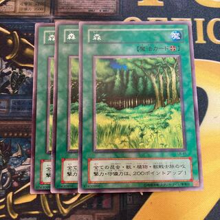 マドレース2349森　2期レア