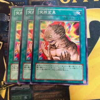 マドレース2354突然変異　ノーマル