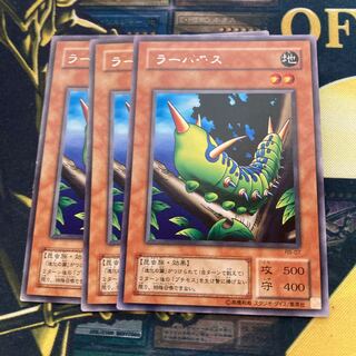 マドレース2356ラーバモス レア2期