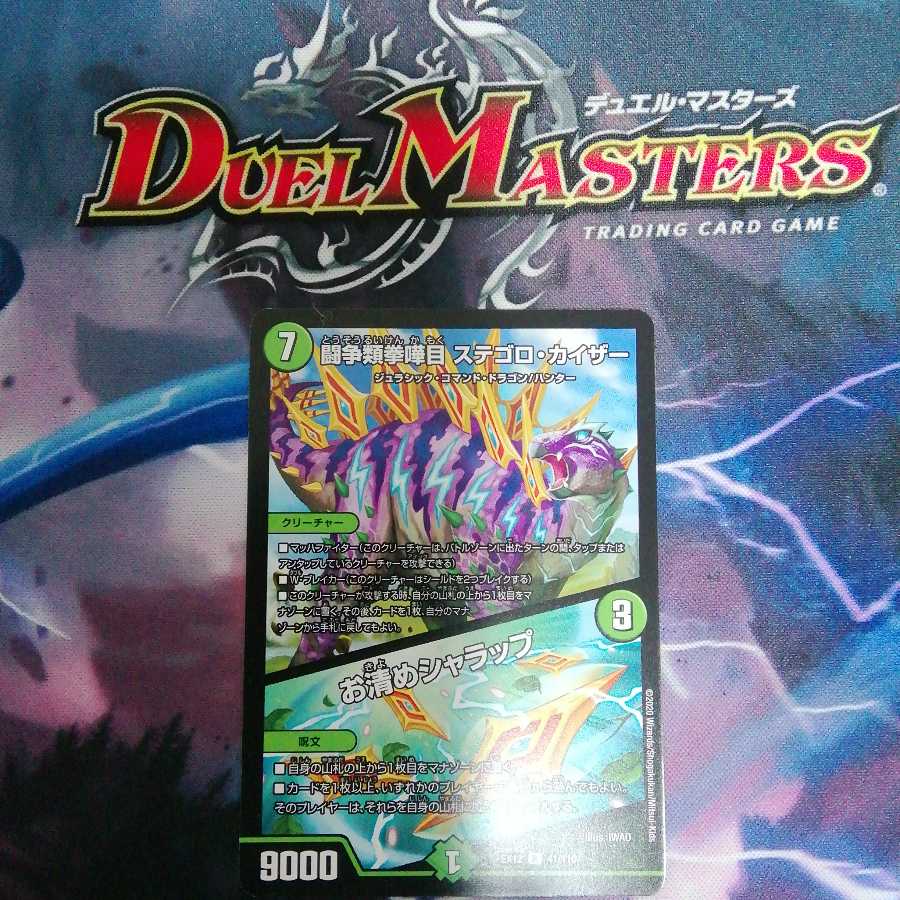 闘争類拳嘩目 ステゴロ・カイザー｜お清めシャラップ