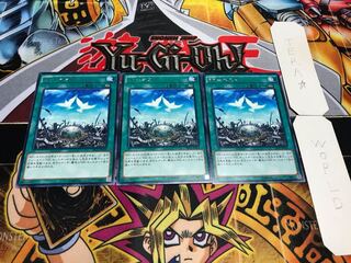 RR-ネスト レア 3枚セット てら