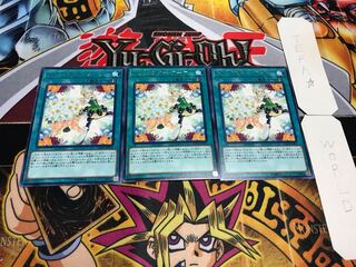 トリックスター・ブーケ レア 3枚セット てら