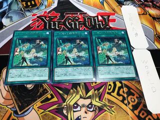 ハーピィの羽根休め レア 3枚セット てら